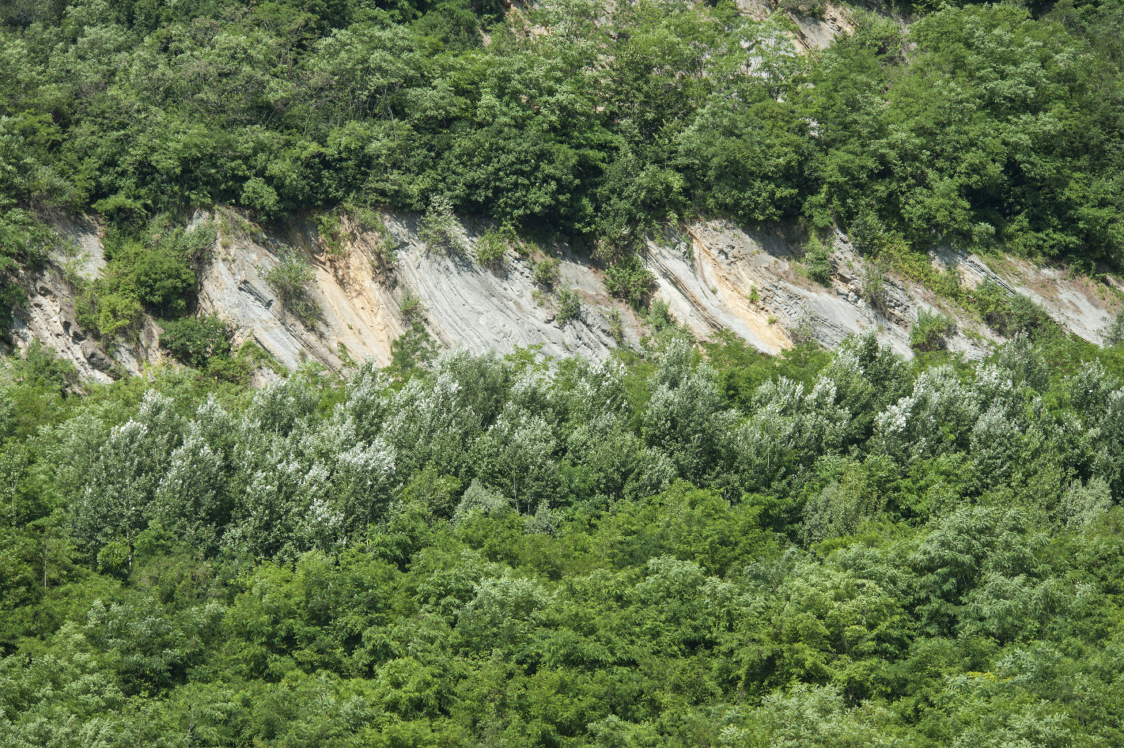 Monte Giglio Buone Pratiche Di Ripristino Ambientale