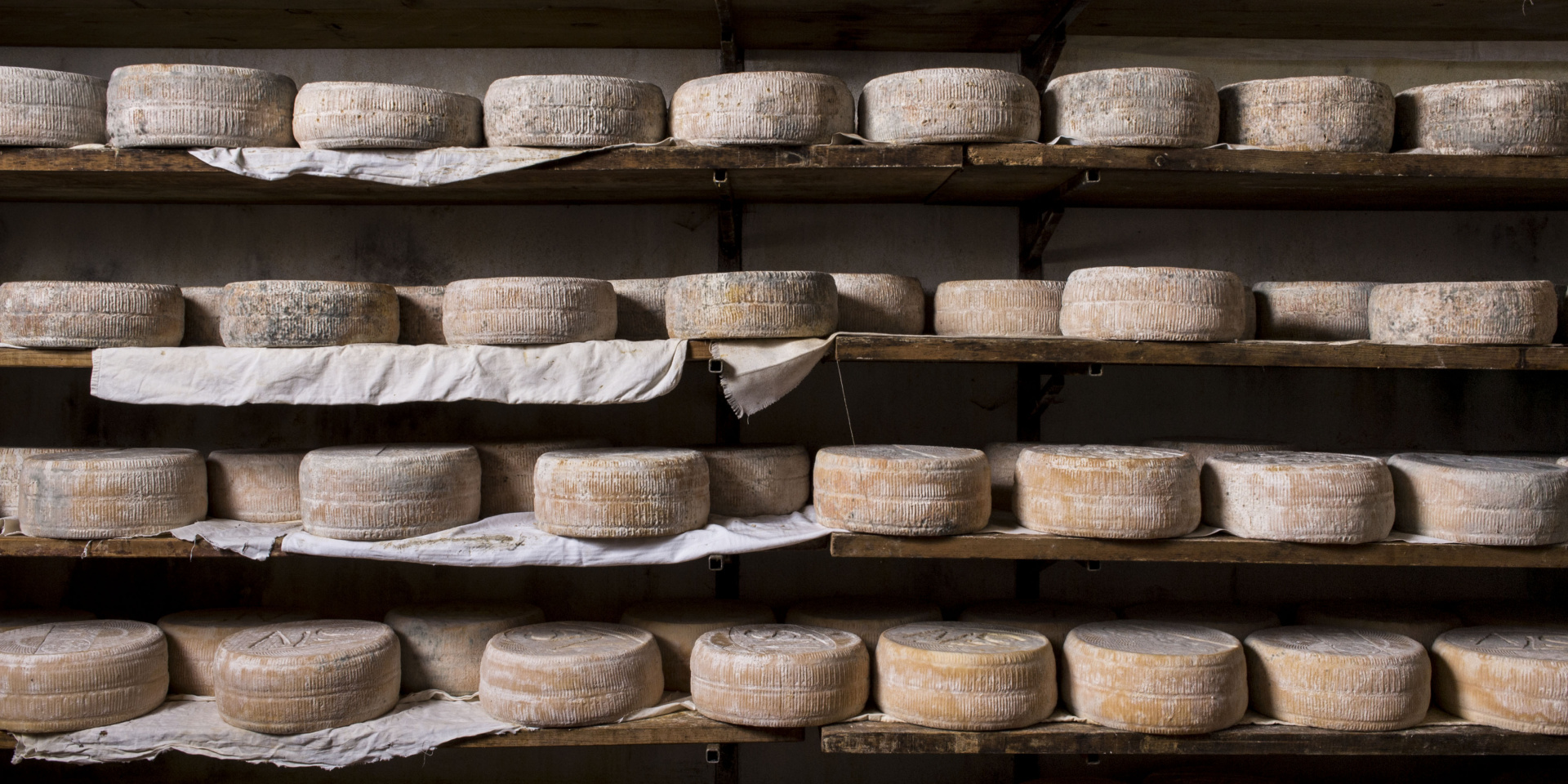 Forme di Strachìtunt Dop, formaggio erborinato a due paste prodotto esclusivamente in val Taleggio e Val Brembilla.