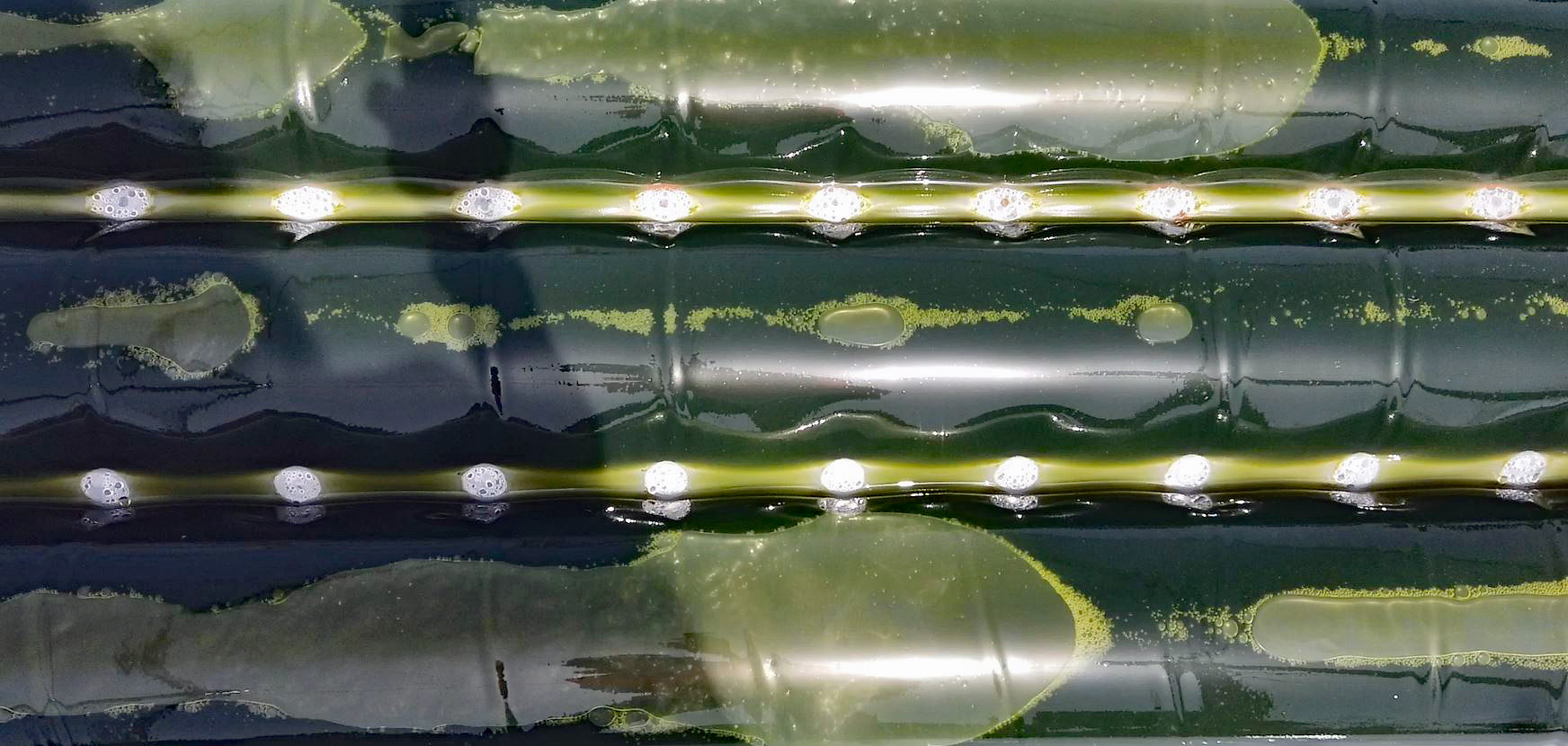Algae Runways.